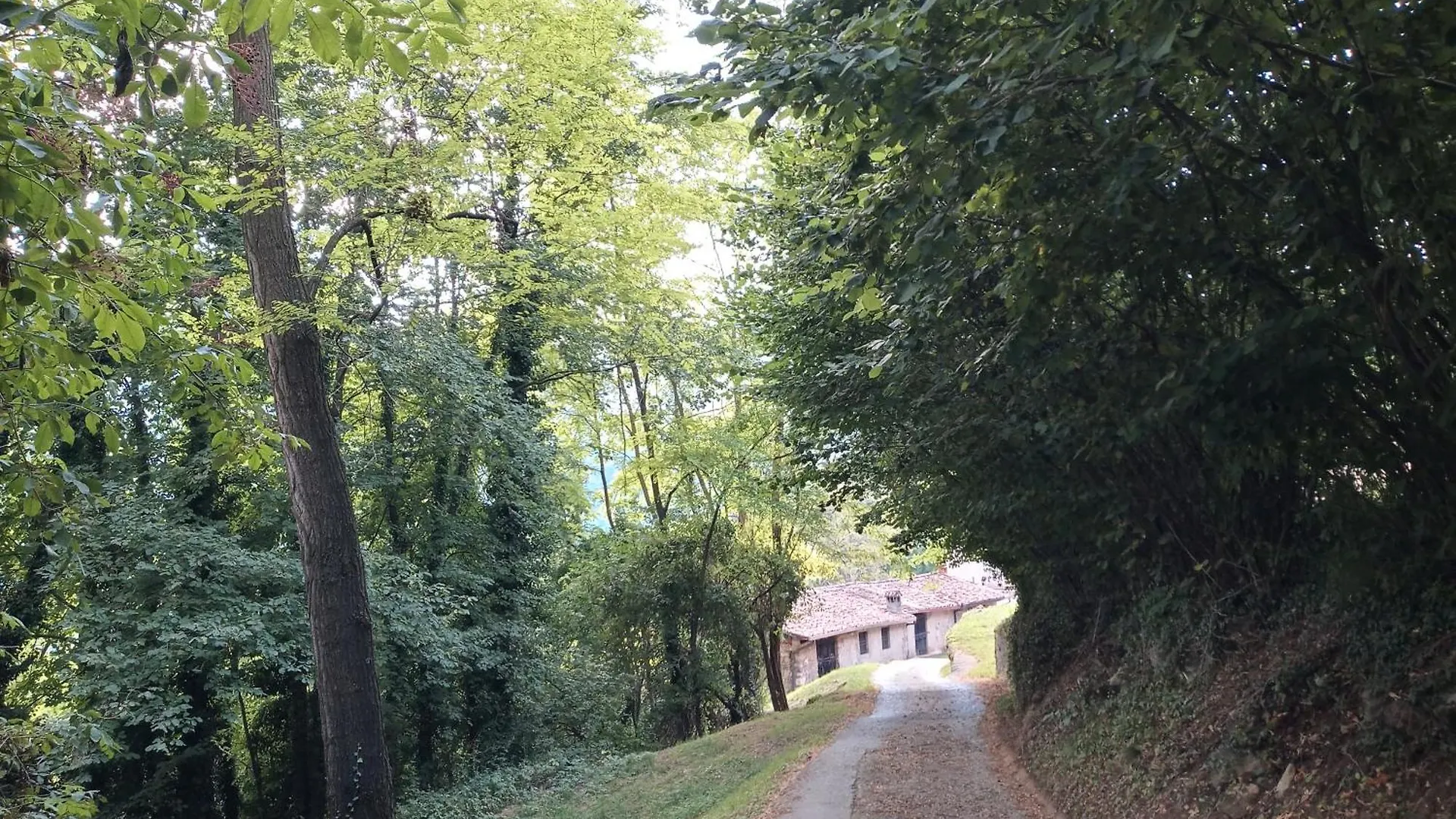 Ai Grilli - Ospitalita E Natura Apartment Casto